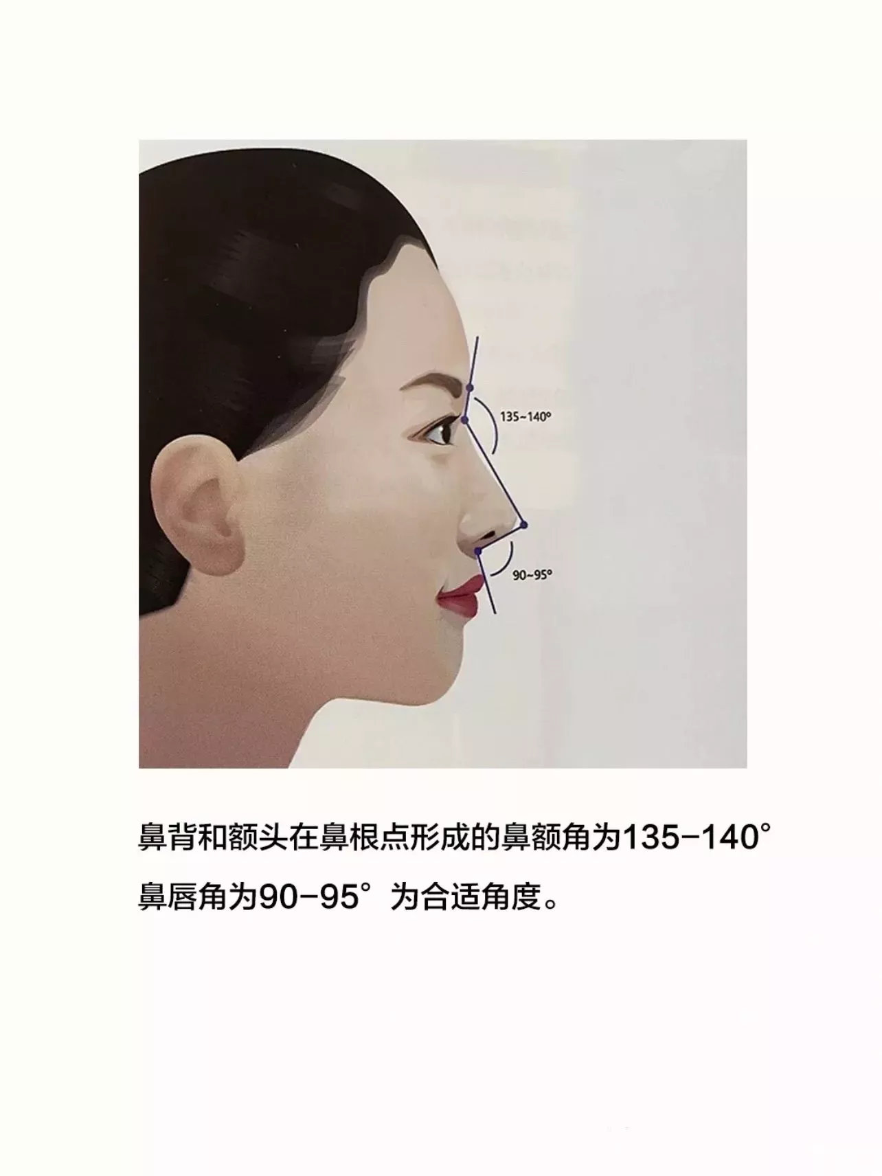 医生眼中的理想妈生自然鼻细节要点! 图片-5