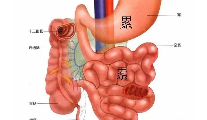 缺牙日记 