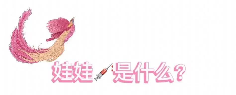 华美护航