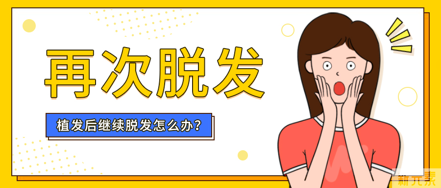 现在植发，以后继续脱怎么办? 图片-2