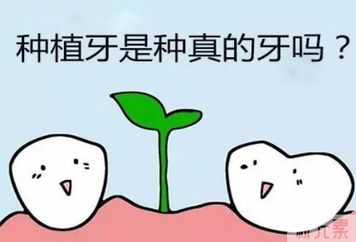 种牙得牙