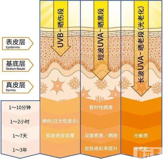 缩毛孔的正确打开方式 图片-12