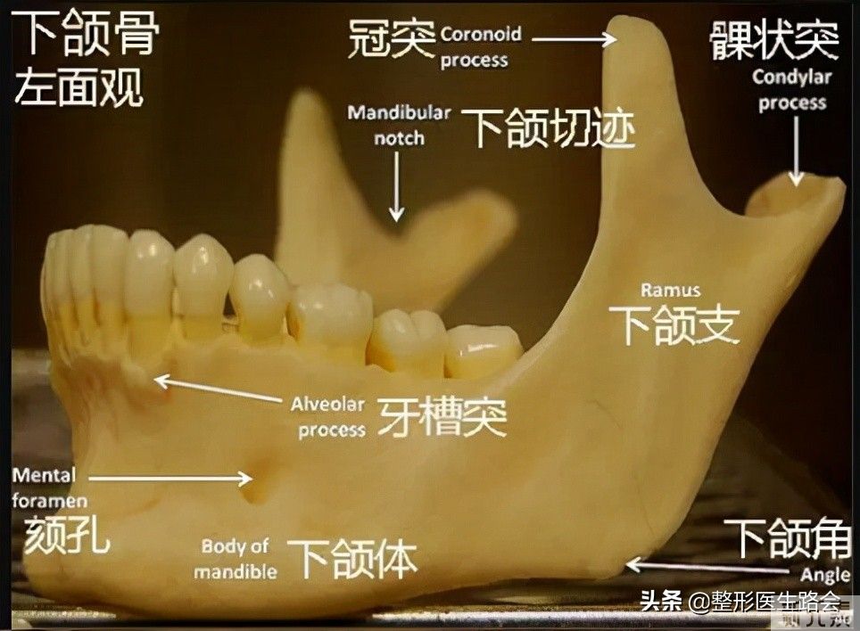 3.15守护人│三甲医生带你扒扒网络盛行的24条“变美谣言”(1) 图片-1