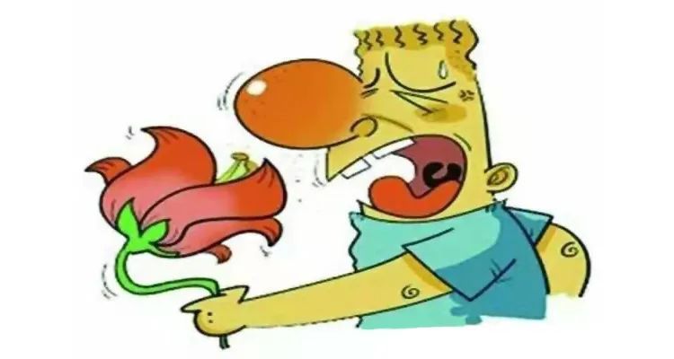 花开时节为什么皮肤过敏的总是你? 图片-5