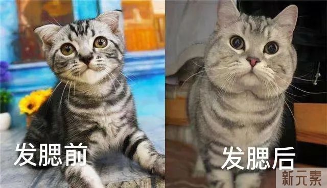90斤的身材，120斤的脸?难道美女都逃不过吗? 图片-4
