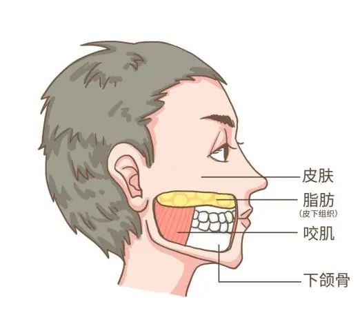 90斤的身材，120斤的脸?难道美女都逃不过吗? 图片-8