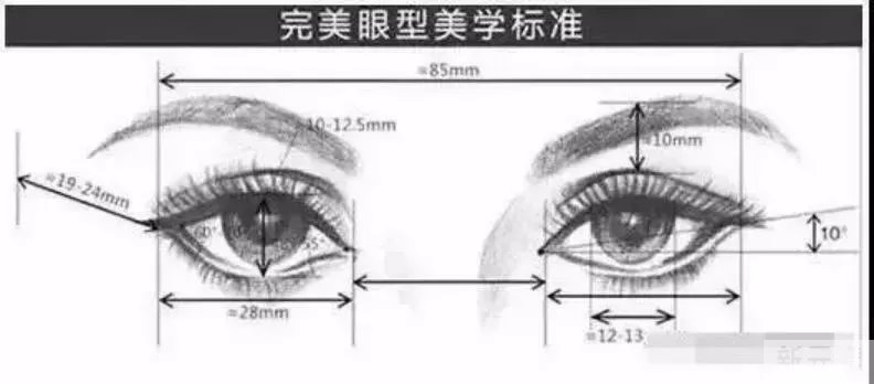 影响重睑形态的客观因素 图片-1