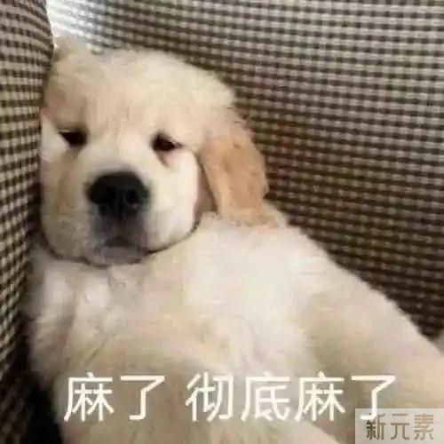 春季吸脂减肥的最高境界!人瘦了，马甲线也有了 图片-3