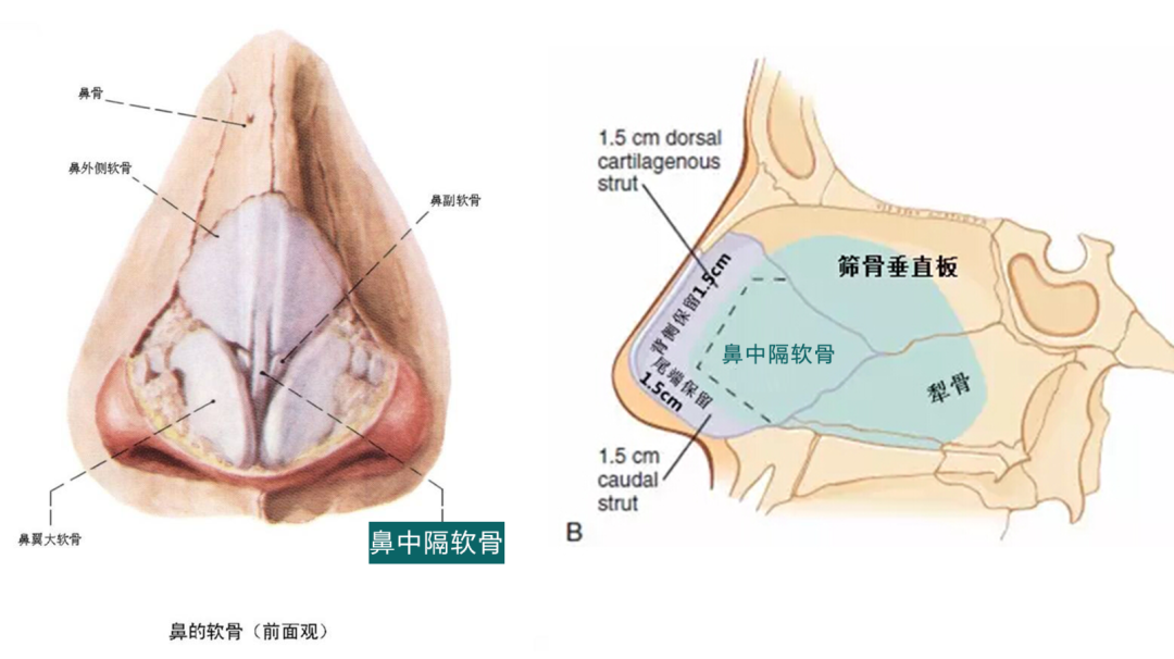 这就是所谓“年抛鼻”?更离奇的事出现了... 图片-15