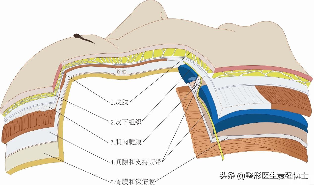 拉皮不是拉得越紧越好，千万别被“年轻医生”练了手 图片-4