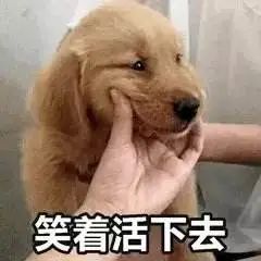 春日小治愈