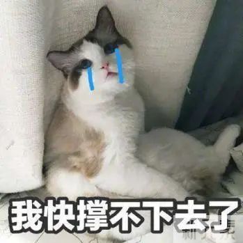 春日小治愈