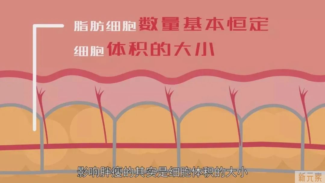 关于瘦腿，注射瘦腿vs吸脂，哪个效果更好? 图片-14