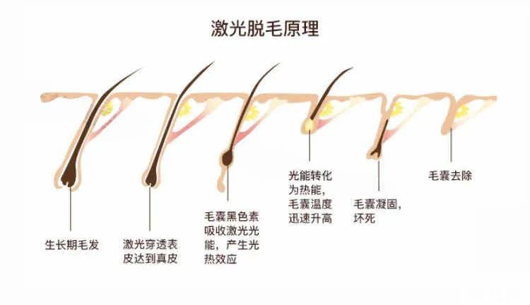 这个......真关你毛事 图片-23