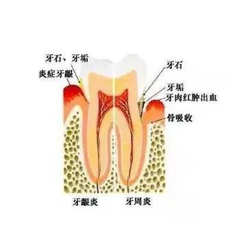 科普 