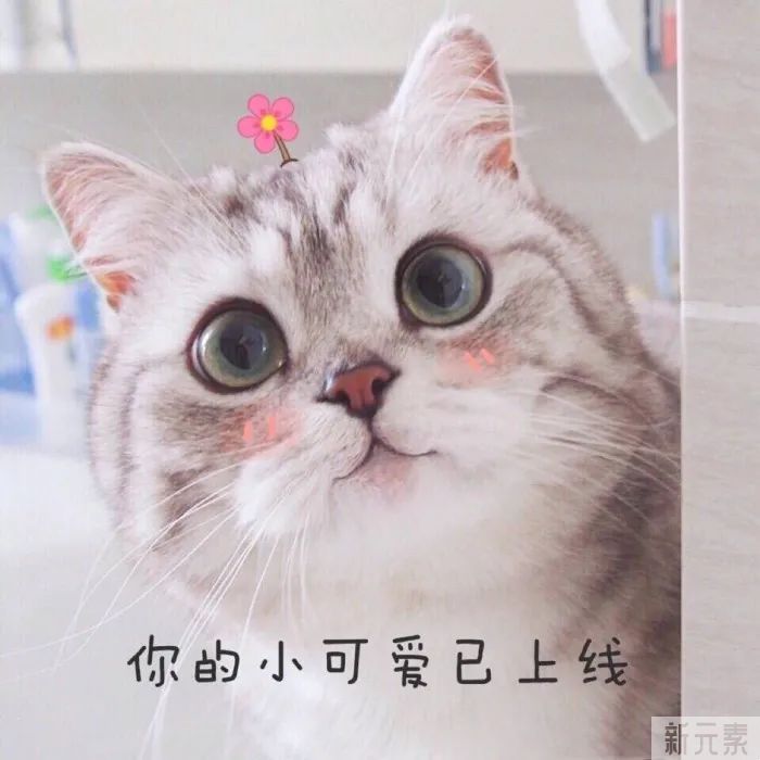 隆鼻后，她们都不会挖鼻孔了! 图片-16