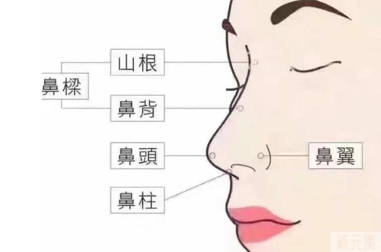 比同龄人更显老?可能是你的鼻子出问题了 图片-7
