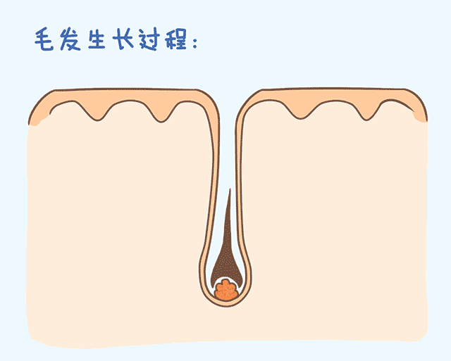 女生的体毛变粗变密不是刮出来的?而是因为这个...... 图片-7