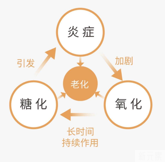 胆子真大!皮肤发红发痒掉屑还在狂抹护肤品?你要抗炎啦! 图片-5