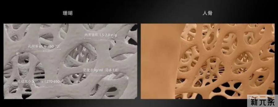 隆鼻能管一辈子吗?为什么有的人要修复? 图片-5