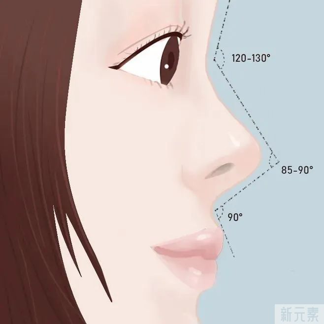 耳软骨吸收率这么高 ?!对隆鼻的效果有什么影响? 图片-5