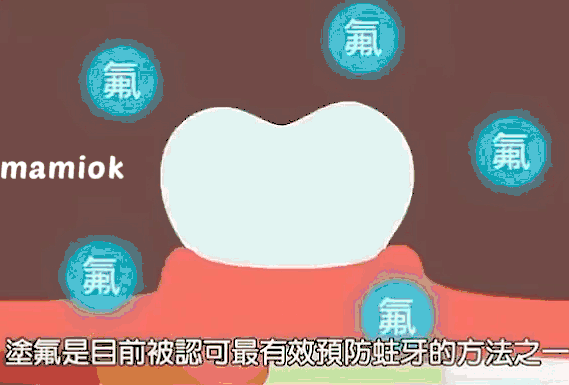 科普来了 | 你嫌贵的牙齿问题，其实几十元就能解决! 图片-5