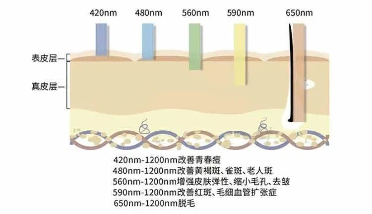 别担心!敏感肌这样护理也不怕春风吹! 图片-5