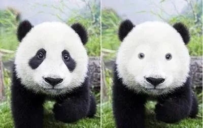 对付这两种黑眼圈，别再浪费眼霜了! 图片-4