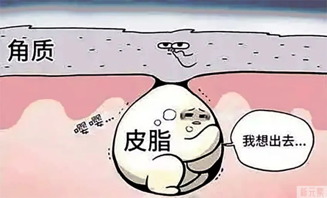抿嘴时下巴凸起的白色小颗粒是什么? 图片-7