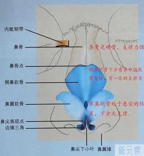 什么是鼻综合？鼻综合能解决那些问题？ 图片-3