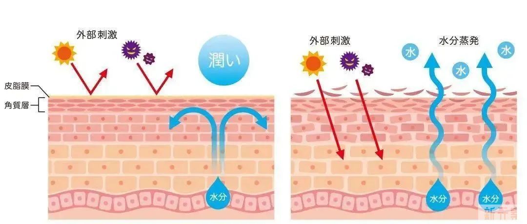 斑的潜伏期是七年， 当它长出来时已经八岁了? 图片-4