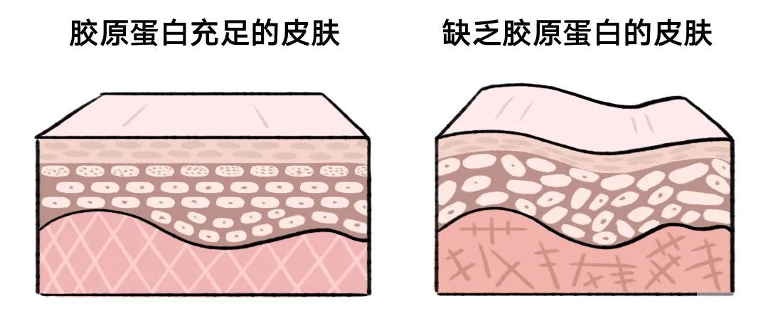 【抗衰干货】解锁25+后的​抗衰秘密，『分层抗衰』攻略了解一下~ 图片-10