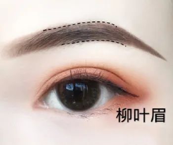 7种眉毛，植眉——重塑眉毛值得拥有! 图片-4
