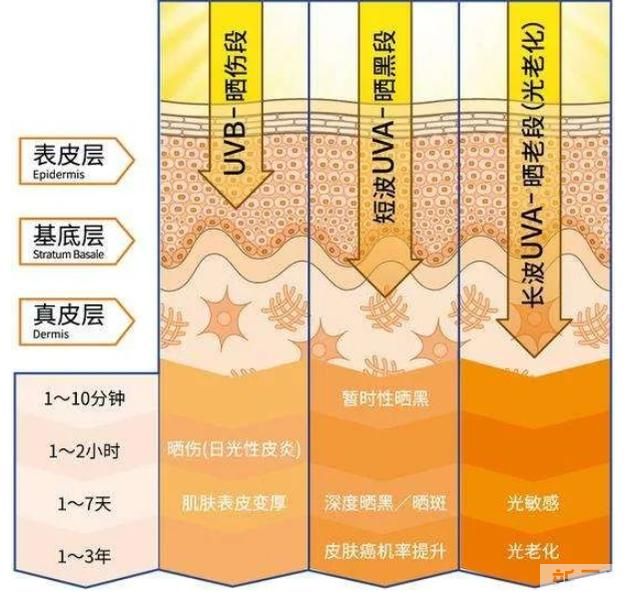 怎么有效防止皱纹增多? 图片-2