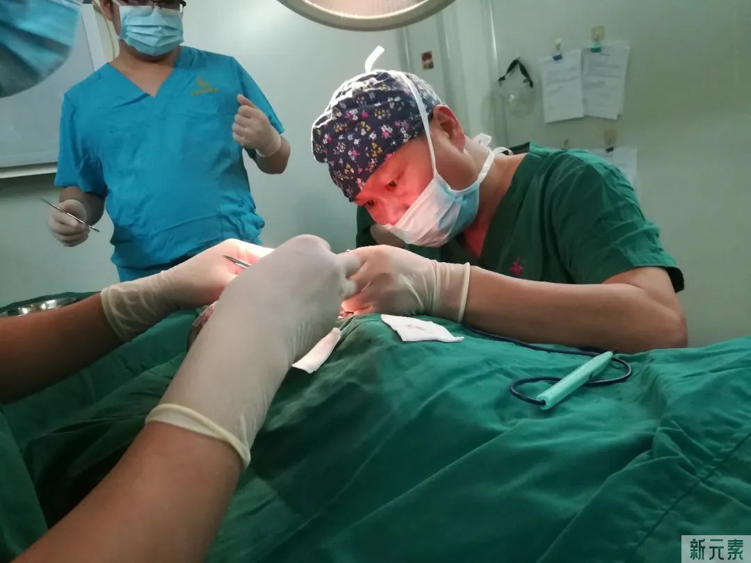 姚庆君教授:先天耳畸形高发需尽早干预，手术矫正“杯状耳”还孩子正常外观 图片-2