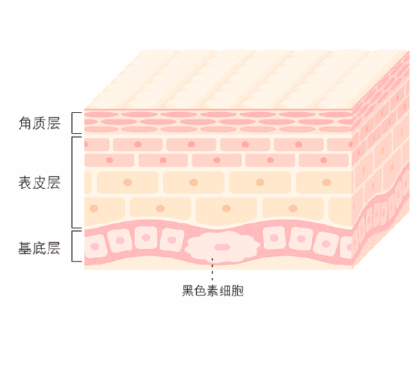 斑和超皮秒的“前世今生” 图片-3