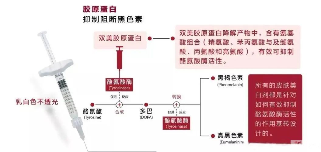黑眼圈+泪沟，化妆都掩盖不住的显老BUG怎么破? 图片-16