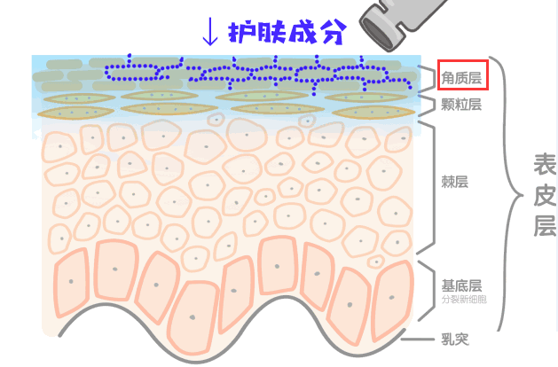 干纹、卡粉、起皮?护肤方法该注意了 图片-7