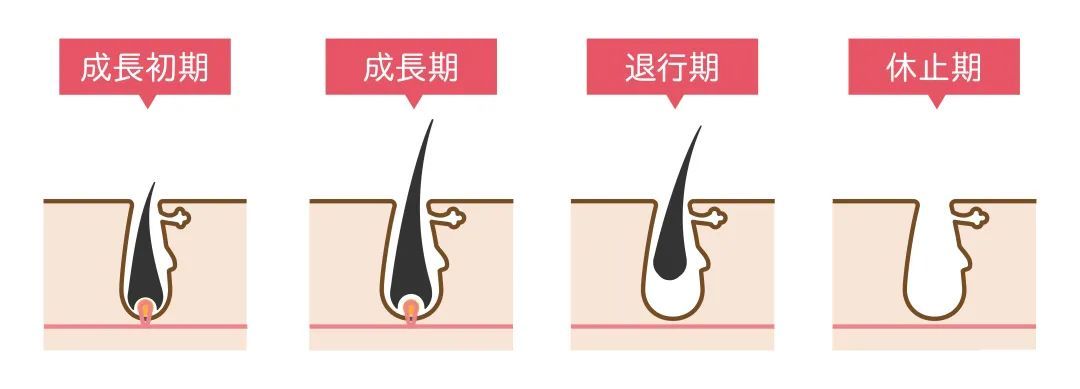 脱毛方法PK!你用什么方法? 图片-3