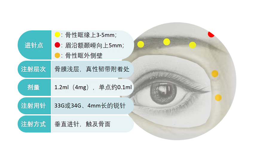 薇旖美人源胶原蛋白如何实现多层抗衰? 图片-14
