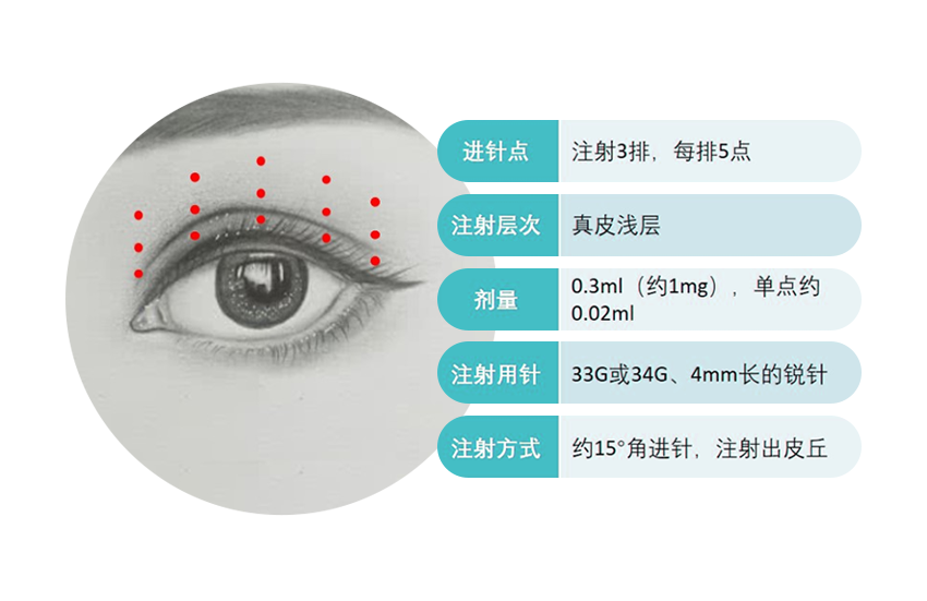 薇旖美人源胶原蛋白如何实现多层抗衰? 图片-12