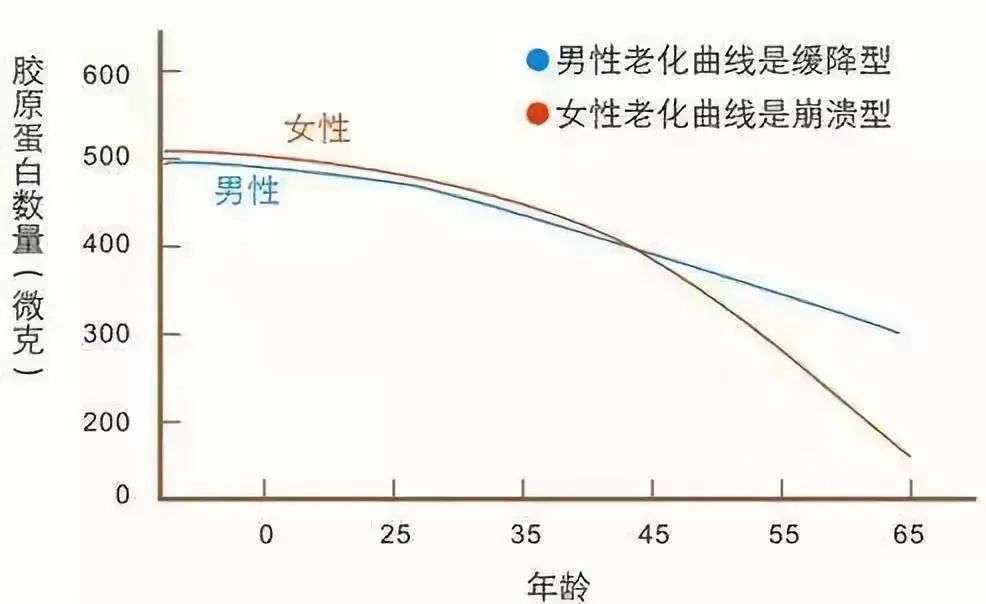 吃啥补啥，流失的胶原蛋白能吃回来吗? 图片-1