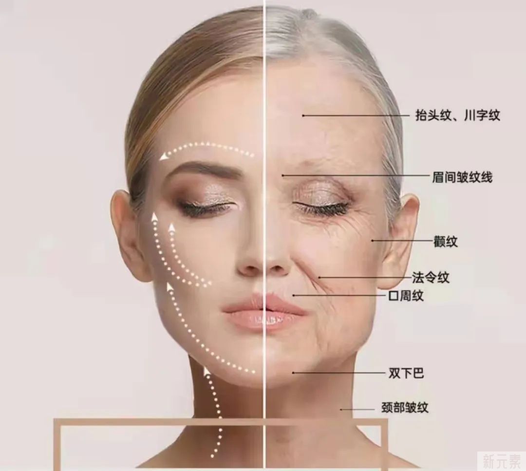 畊宏女孩们!看这里!让你轻松变美! 图片-5