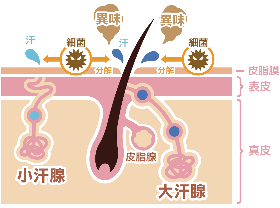 怕什么来什么，如何拯救“腋来香”? 图片-6