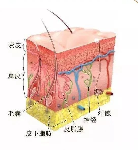 微整注射不是有针就打，这里面隐射出一名合格医师最基本的技法规范 图片-3