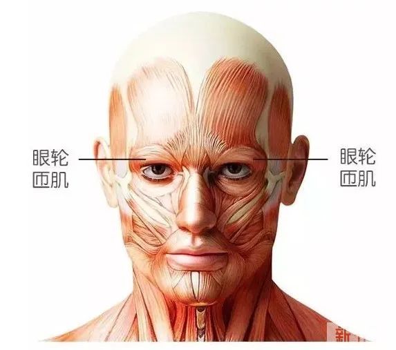微整注射不是有针就打，这里面隐射出一名合格医师最基本的技法规范 图片-5