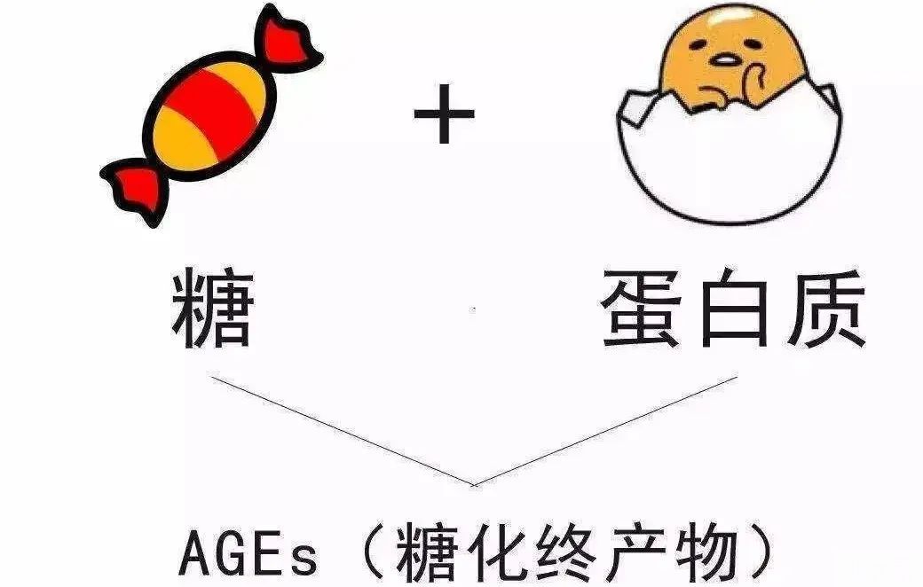 抗糖真的能抗衰老吗?科学抗糖的真相! 图片-2