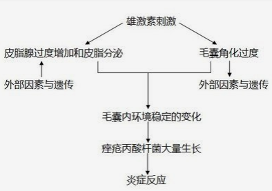 油皮、痘肌、“月球脸”，我该拿什么拯救? 图片-4