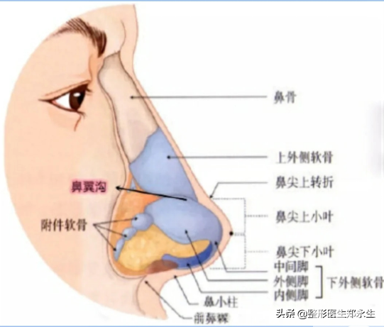你的鼻子为什么看起来很假，哪些情况需要进行鼻修复? 图片-2