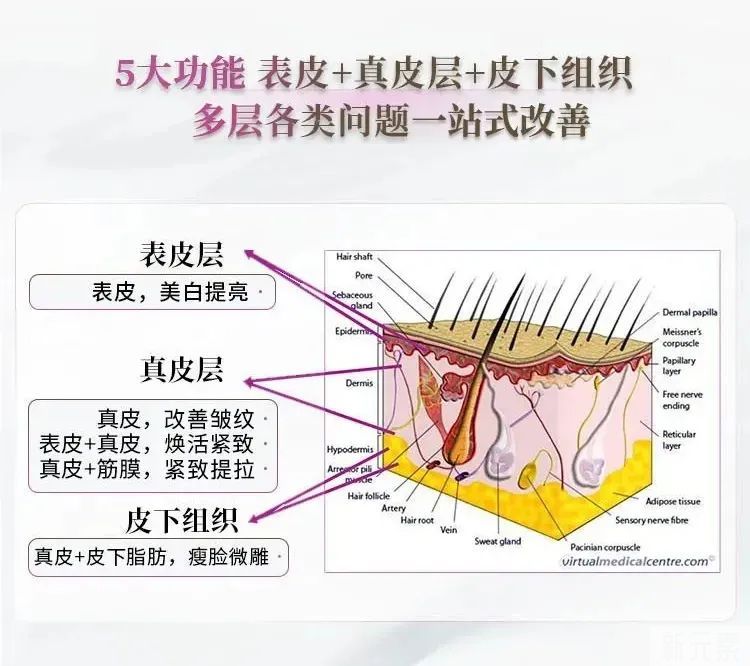 发腮才是中年人的标志?明星天选美貌也躲不过 图片-7